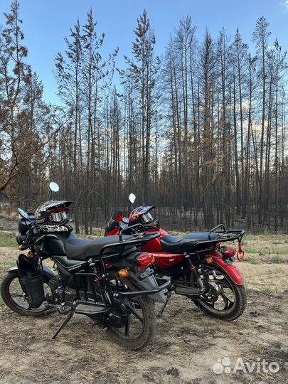 Альфа пегас 125