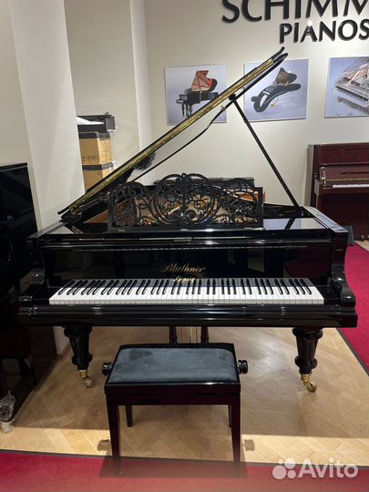 Рояль Bluthner