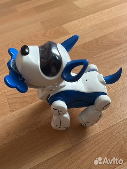 Интерактивная собака