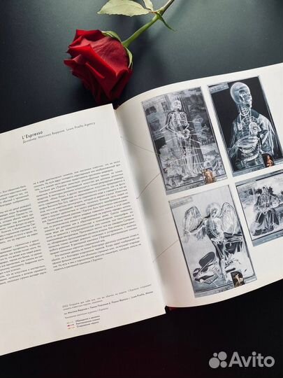 Анатомия дизайна. Х. Стивен