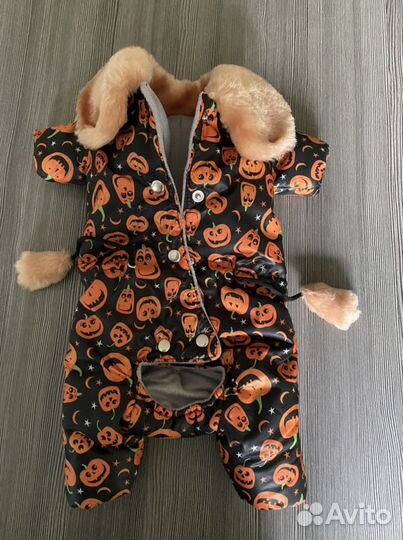 Зимний комбинезон для маленькой собачки