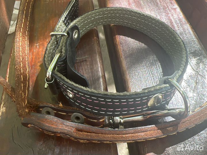 Поводок с ошейником для собак