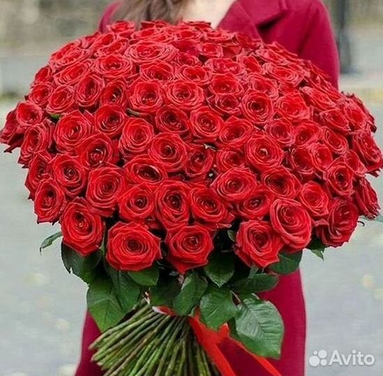 Высокие розы Гигантские Розы 150 160 170 180 190см