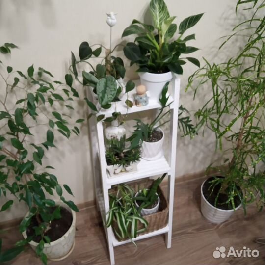 Стойка для цветов