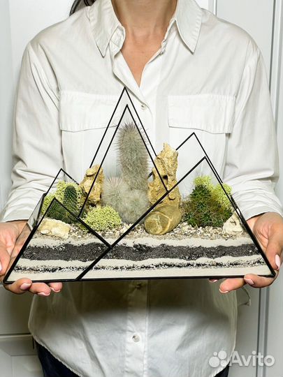 Флорариум кактусы горы подарок букет цветы