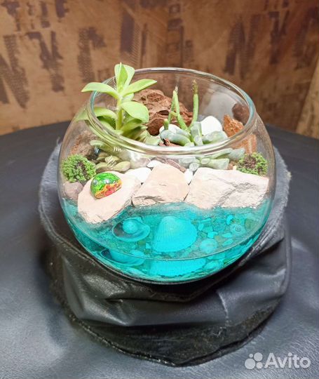 Флорариум шар