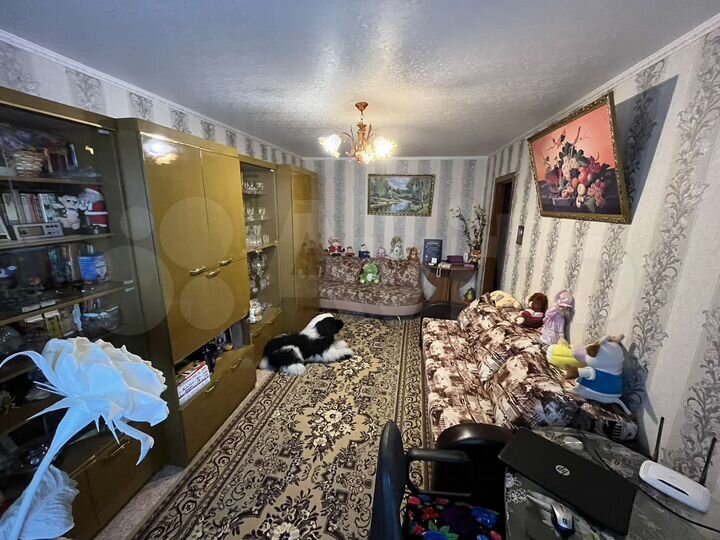 2-к. квартира, 50 м², 3/5 эт.