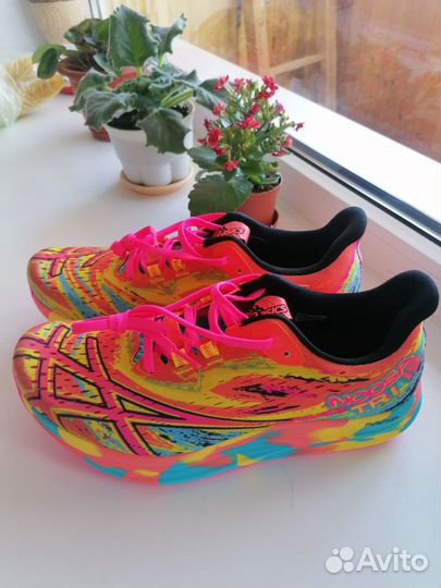 Asics noosa tri 15