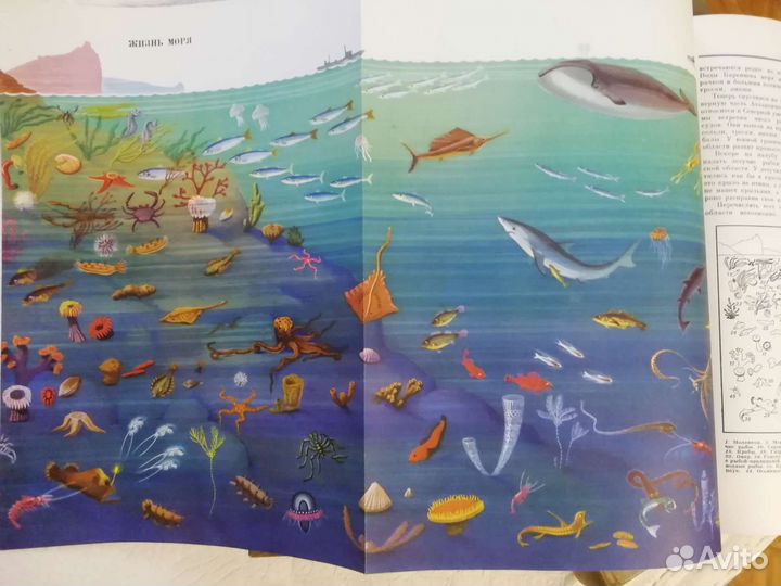 Детская энциклопедия СССР