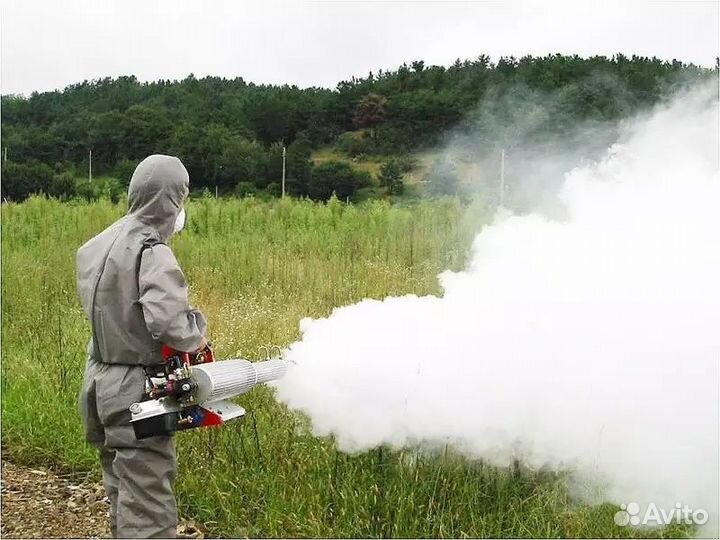 Уничтожение комаров короеда борщевика ос шершней