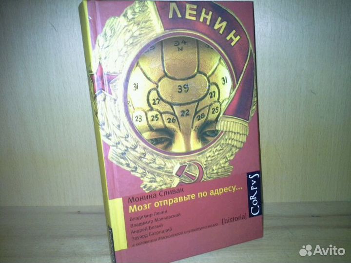 Спивак М. Мозг отправьте по адресу