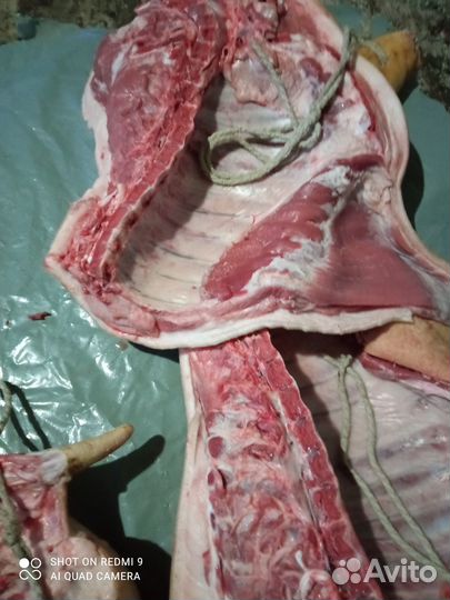 Мясо свинина домашняя
