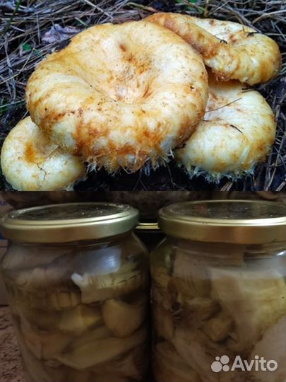 Соленья, варенья, грибочки