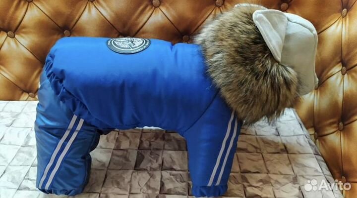 Одежда для маленькой собачки