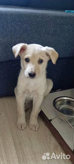 Маленькая девочка лапочка