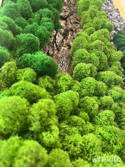 Панно со мхом и камнями