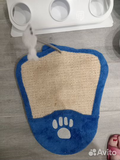 Когтеточка