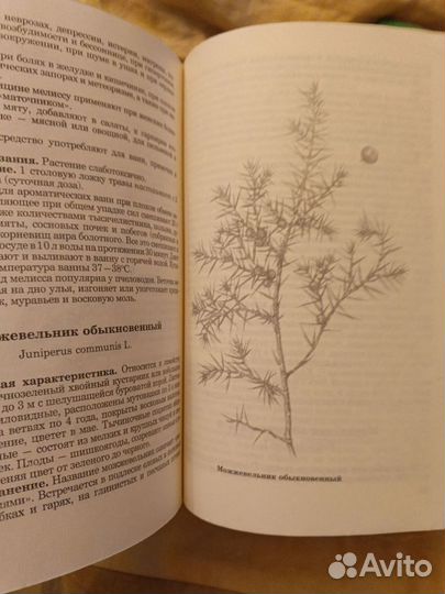 Е. А. Ладыгина Травник для Всех