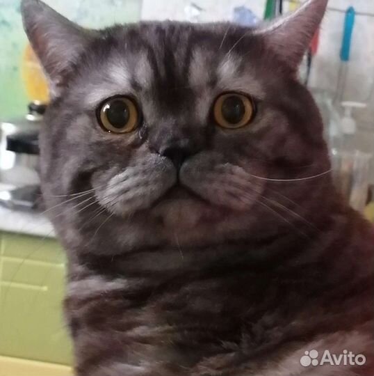 Котик для вязки