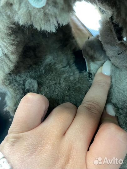 Ботинки женские зимние эконика 34,5