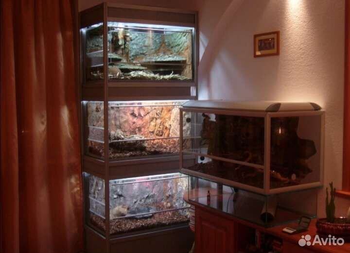 Обслуживание, чистка аквариумов и террариумов