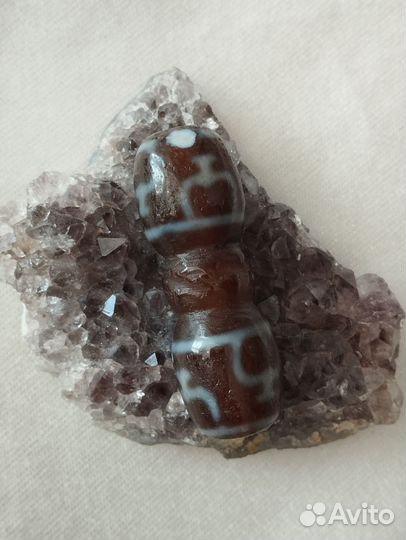 Редкая резная дзи -нектарный сосуд (8 глаз)