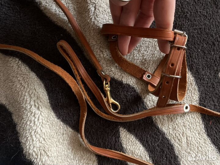 Поводок с шлейкой для мелких питомцев