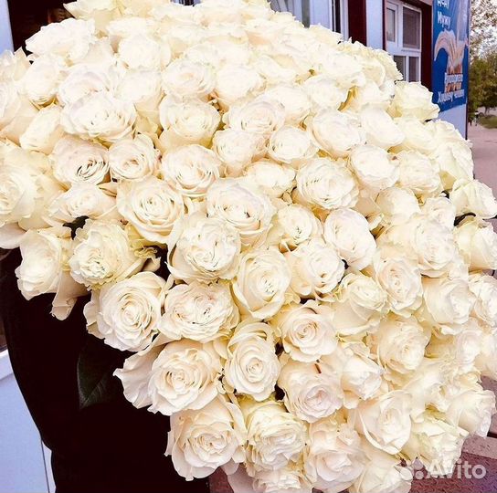 Розы Эквадор Метровые 100 см доставка Москва