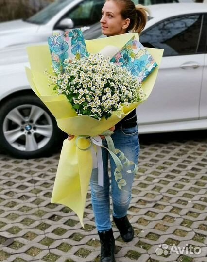 Цветы ромашки