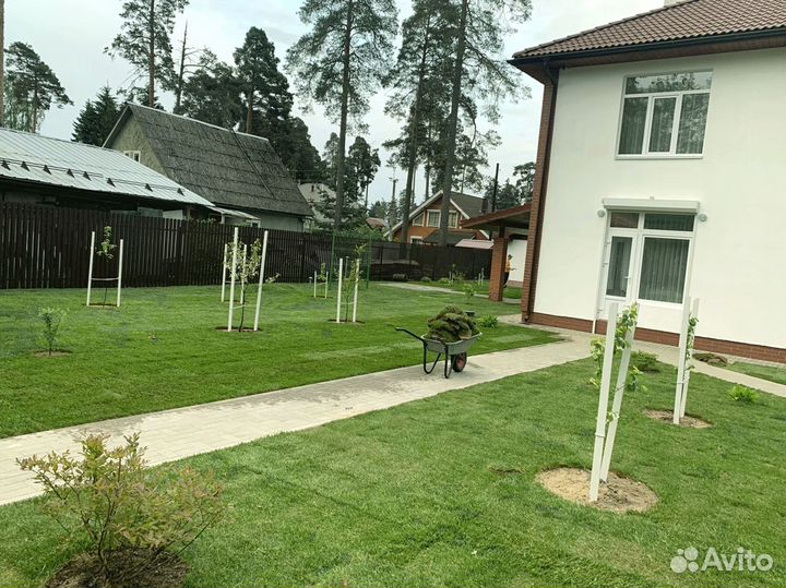 Рулонный газон 