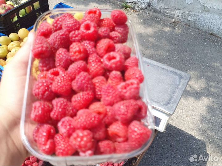 Малина и клубника