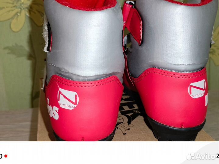 Лыжные ботинки