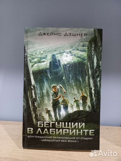 Книга Джеймс Дэшнер 