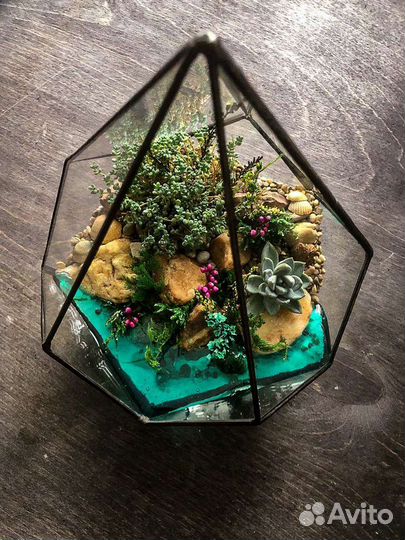 Флорариум. Подарок