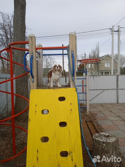 Детская игровая площадка уличная