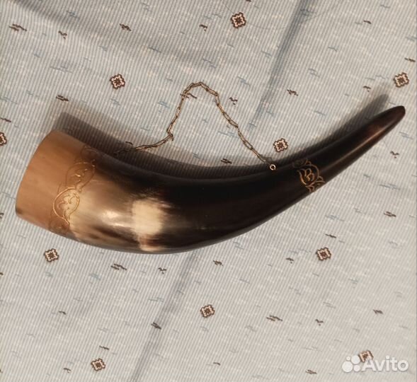 Бычий рог натуральный 1975 год