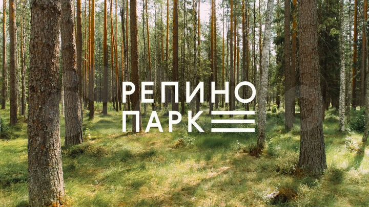 Участок 17,4 сот. (СНТ, ДНП)