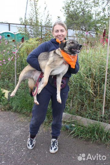 Скромная девочка Мира, из приюта