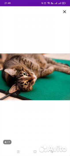 Коврик-лежак для животных с подогревом