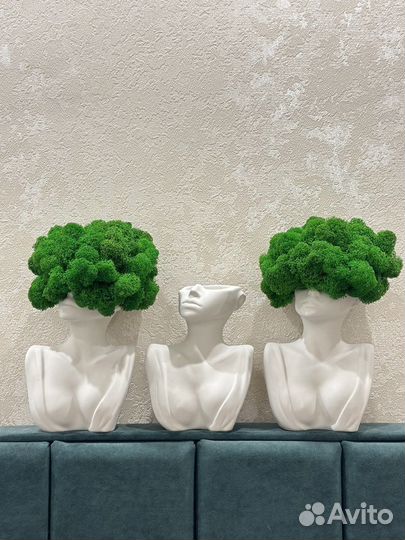 Декор для интерьера со стабилизированным мхом