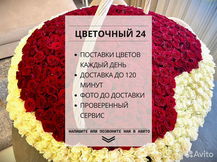 Хризантемы