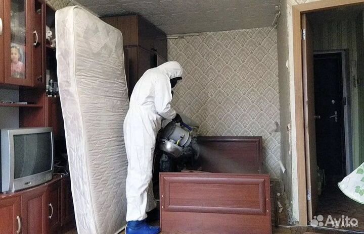 Истребление насекомых