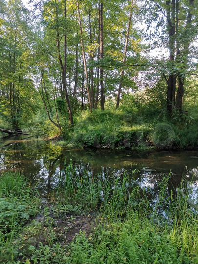 Участок 15 сот. (ИЖС)