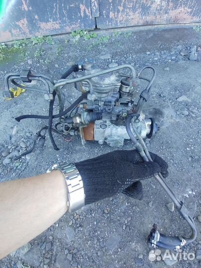 Тнвд