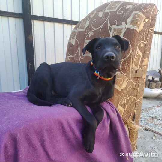 Мальчик Веня ищет дом