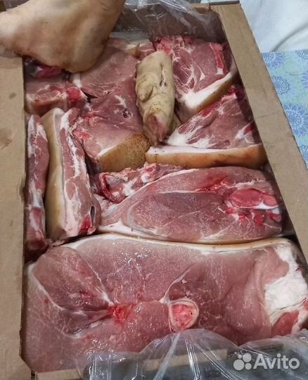 Свежая свинина