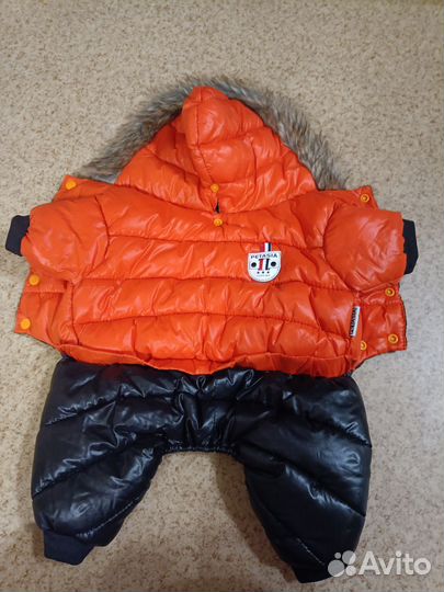 Одежда для собак