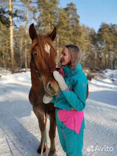 Прокат лошадей
