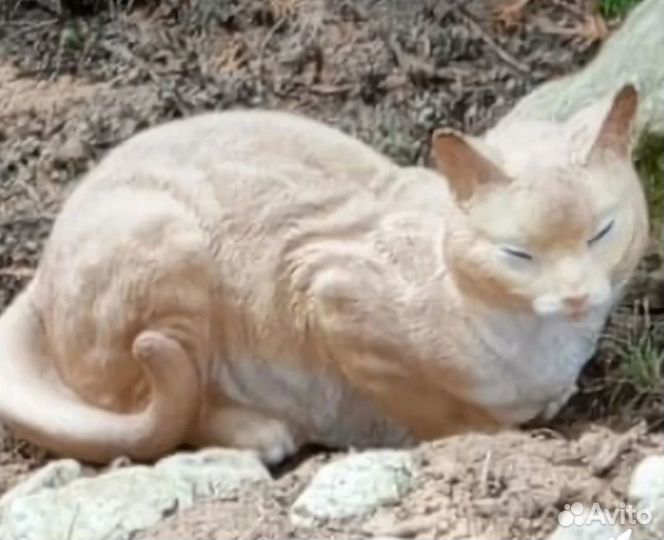 Фигурка статуэтка дремлющий кот, котик