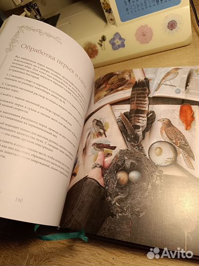 Книга Женственна от природы